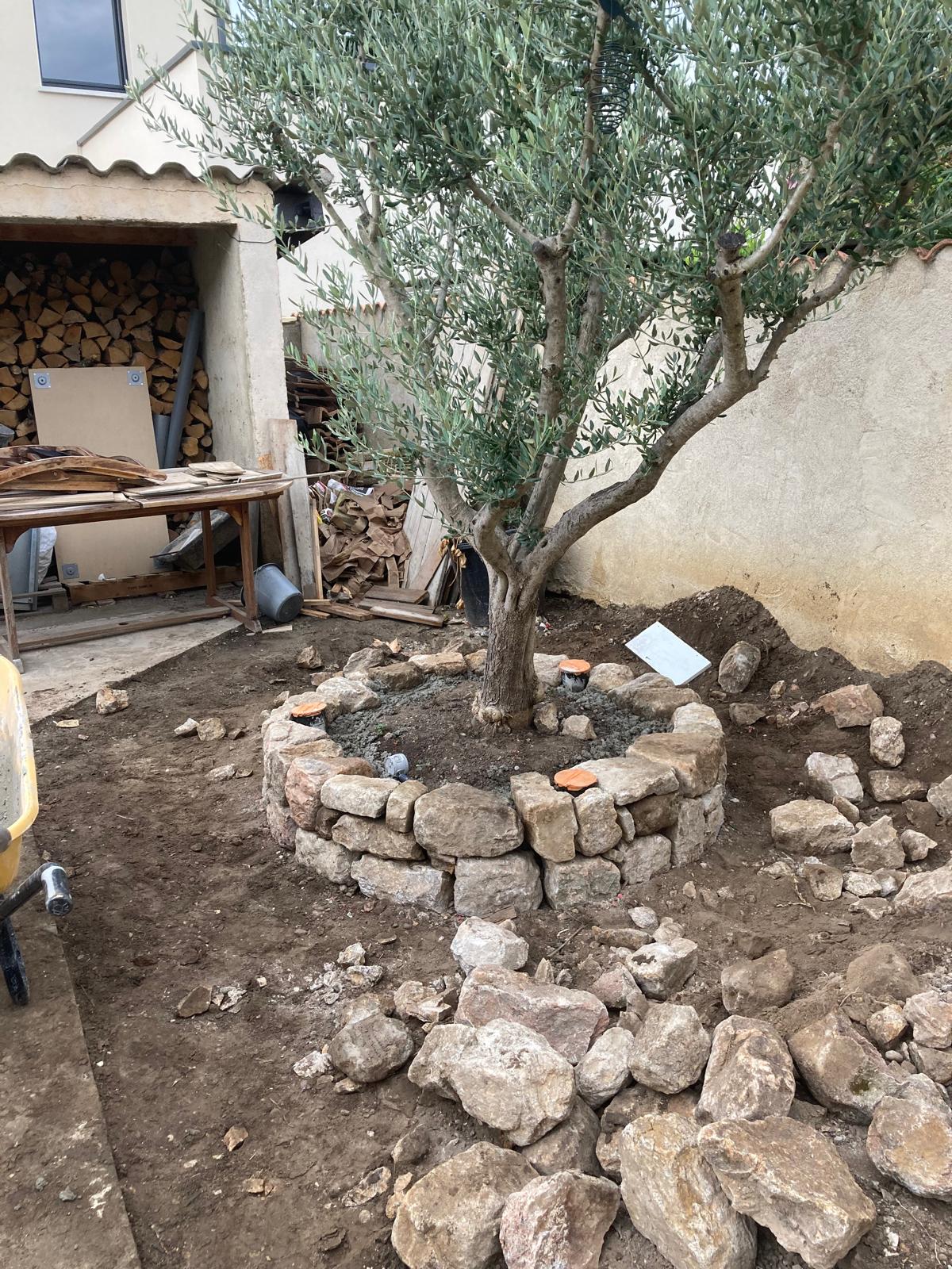 amengement_gazon_muret_olivier_eclairage(2)