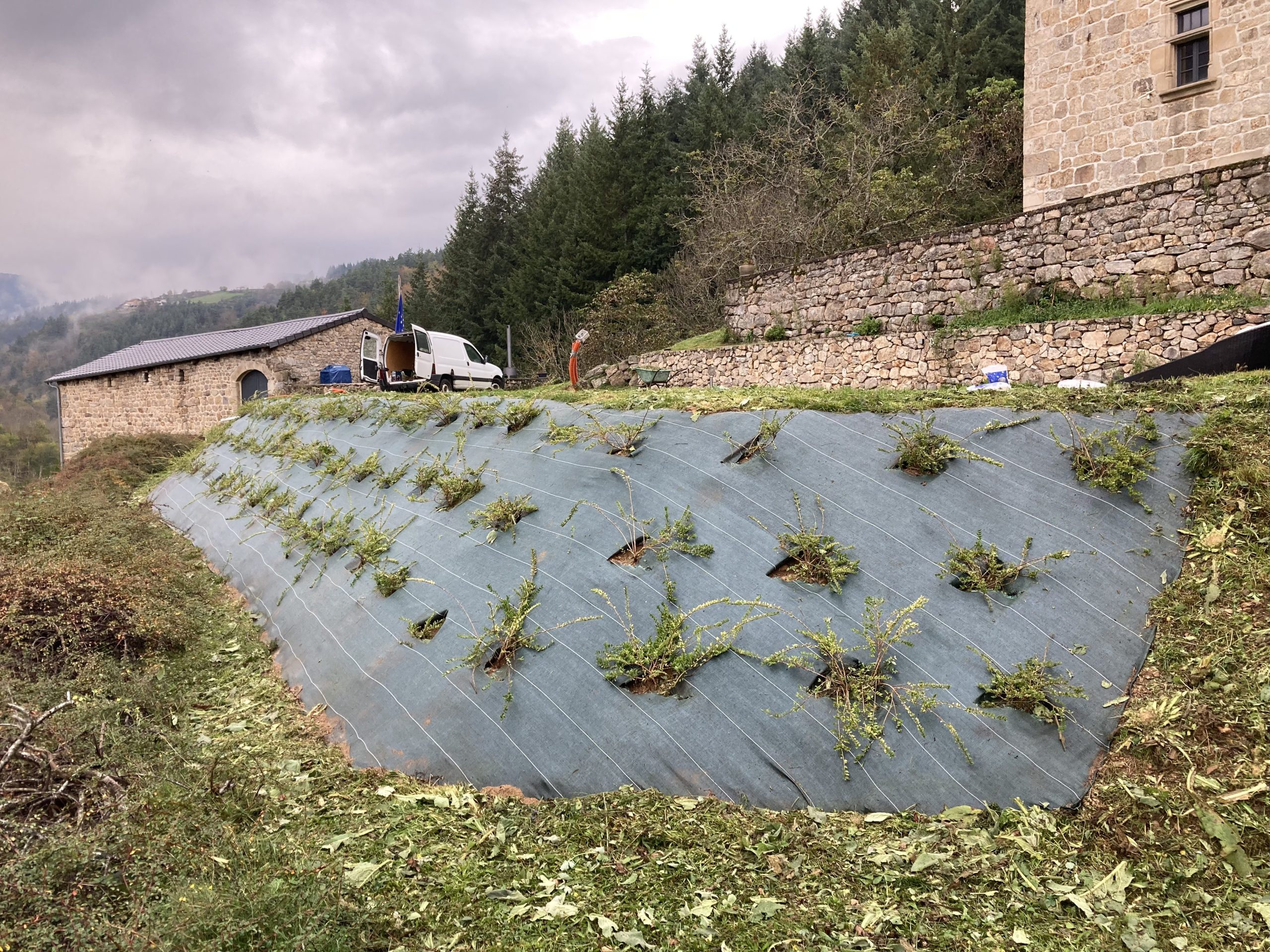 creation_paysagere_toile_paillage_gazon (11)