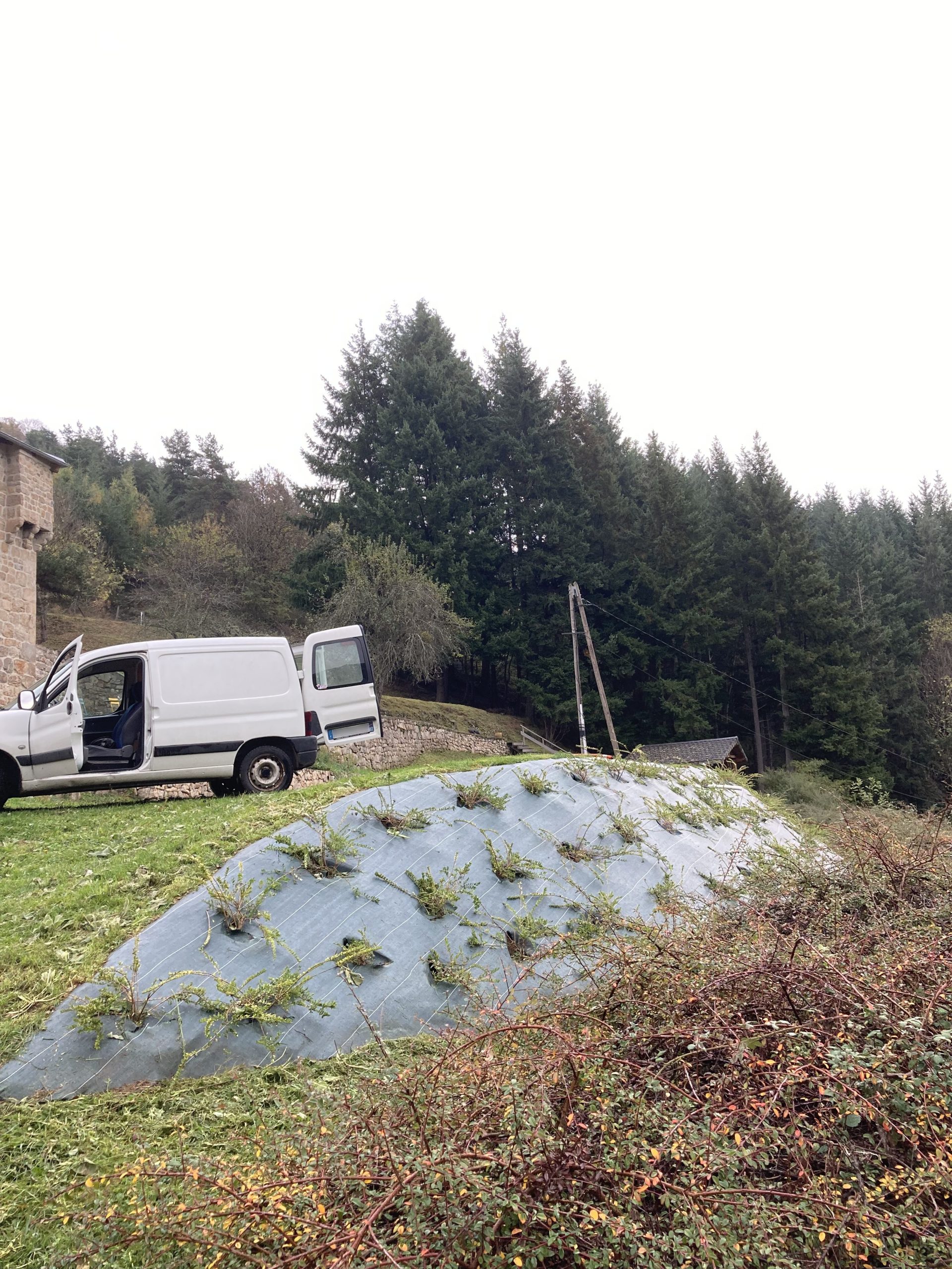 creation_paysagere_toile_paillage_gazon (12)