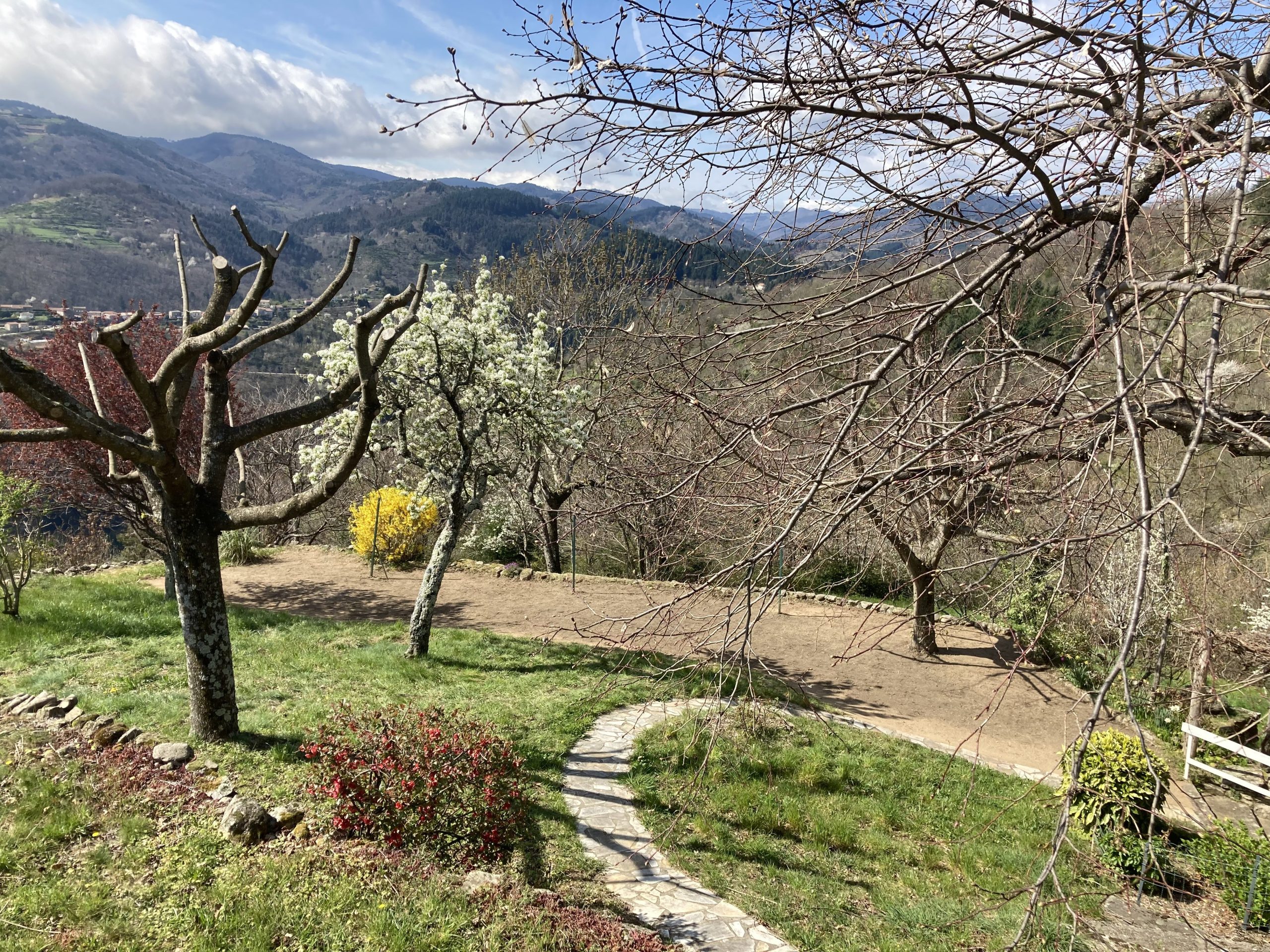 creation_paysagere_toile_paillage_gazon (13)