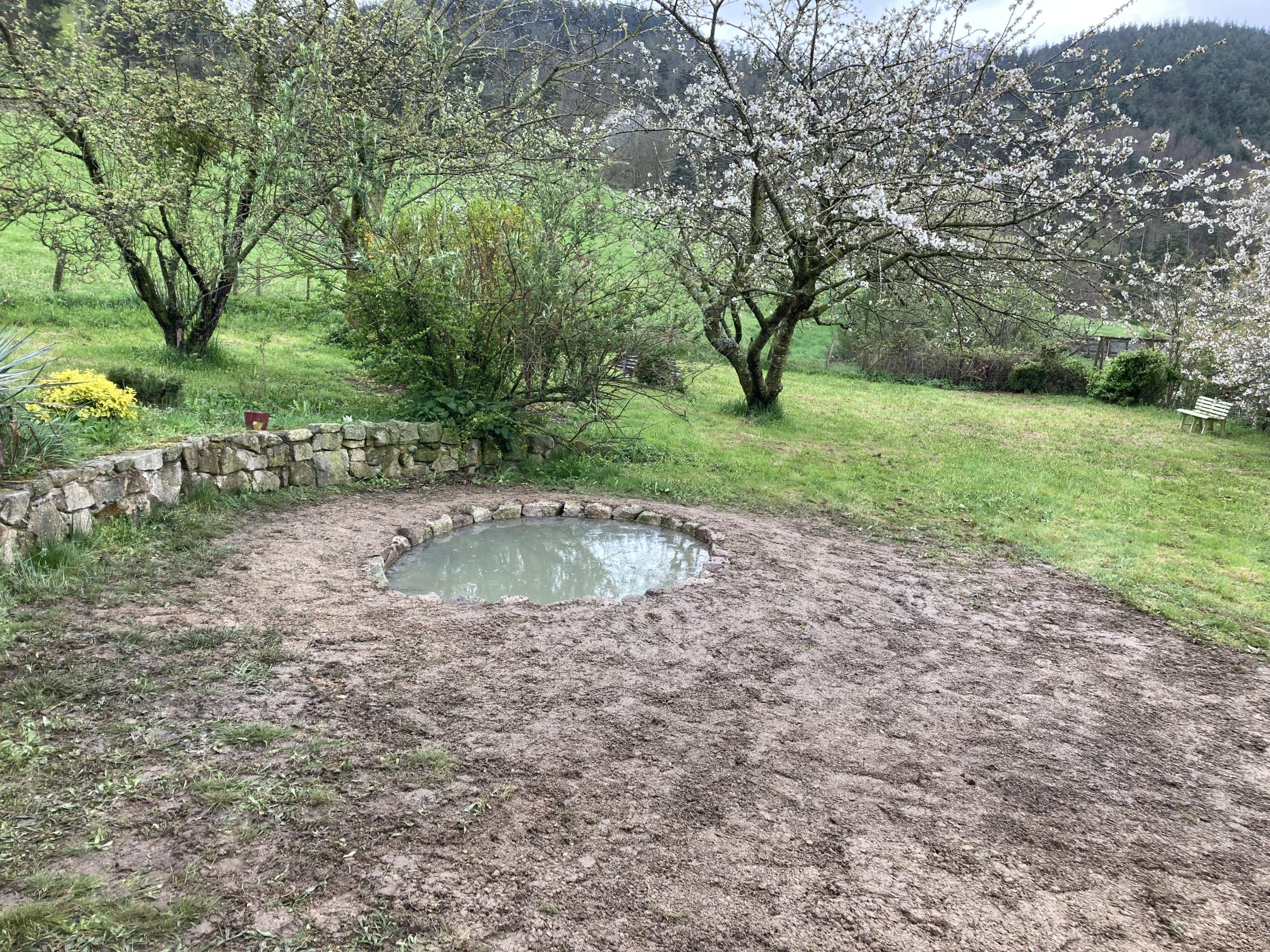 creation_paysagere_toile_paillage_gazon (14)