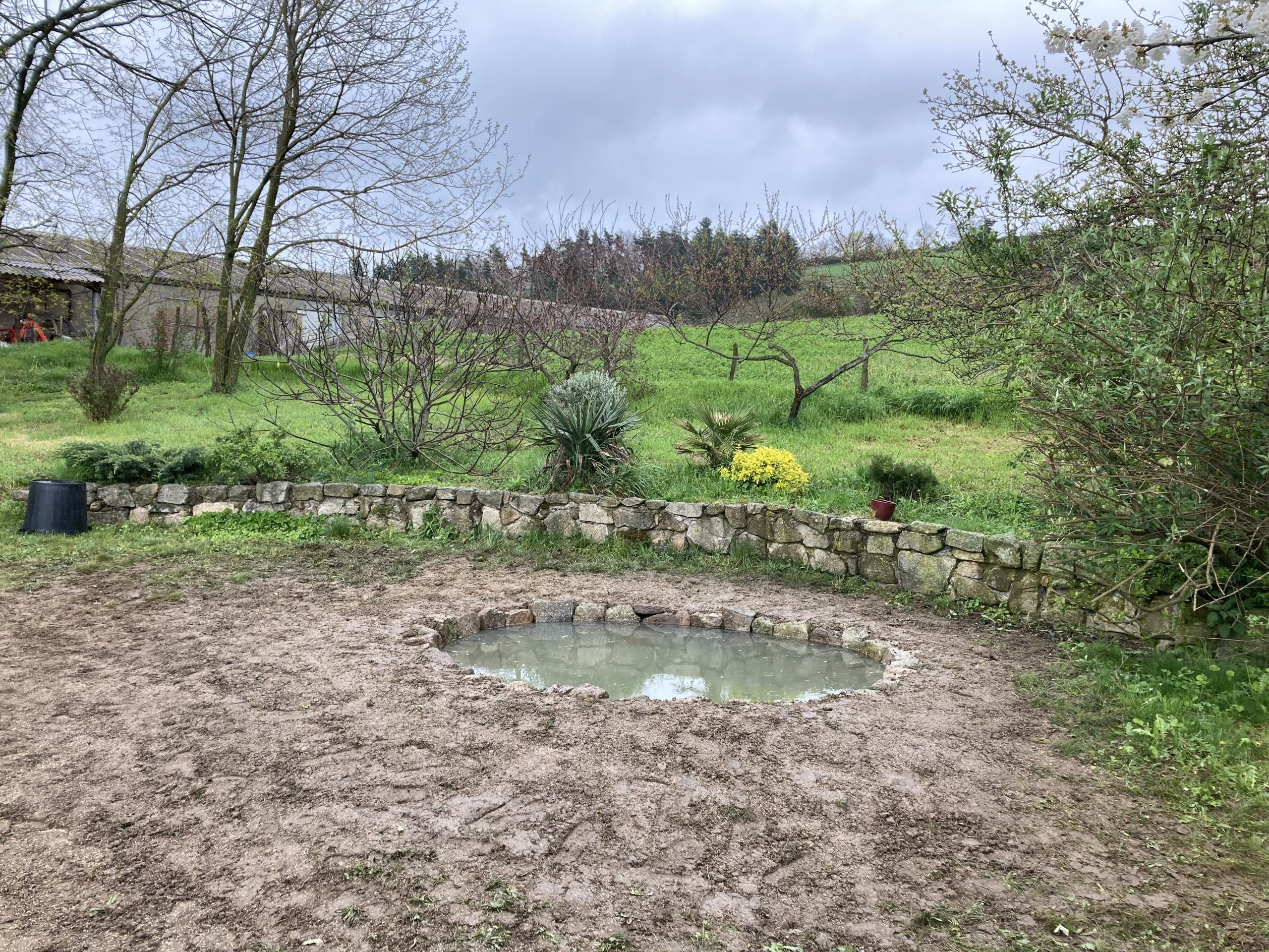 creation_paysagere_toile_paillage_gazon (15)