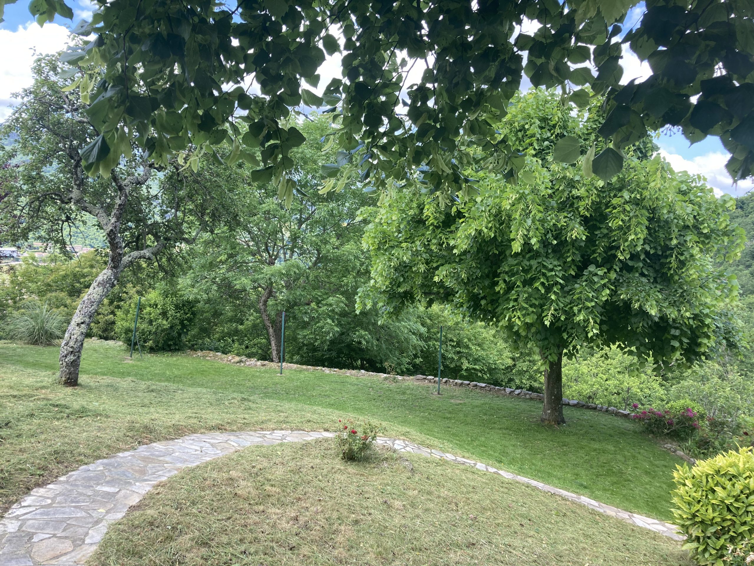 creation_paysagere_toile_paillage_gazon (17)