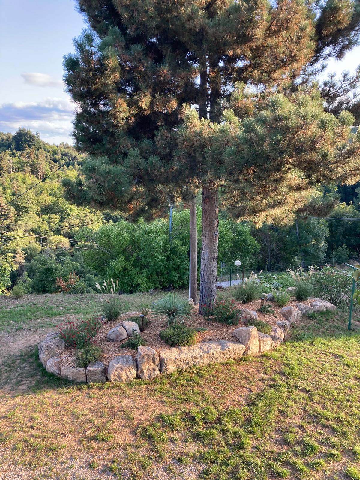 creation_paysagere_toile_paillage_gazon (7)