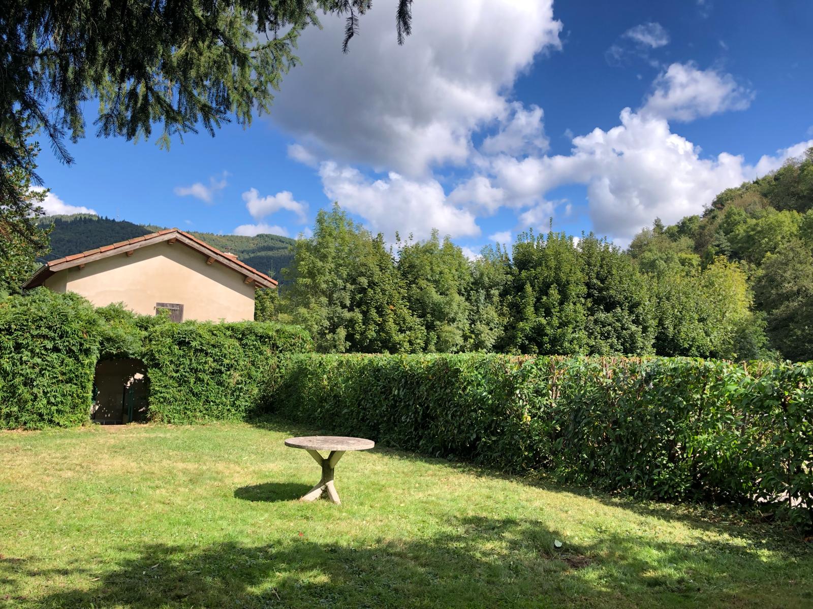 entretien_taille_debrousaillage_haie (15)