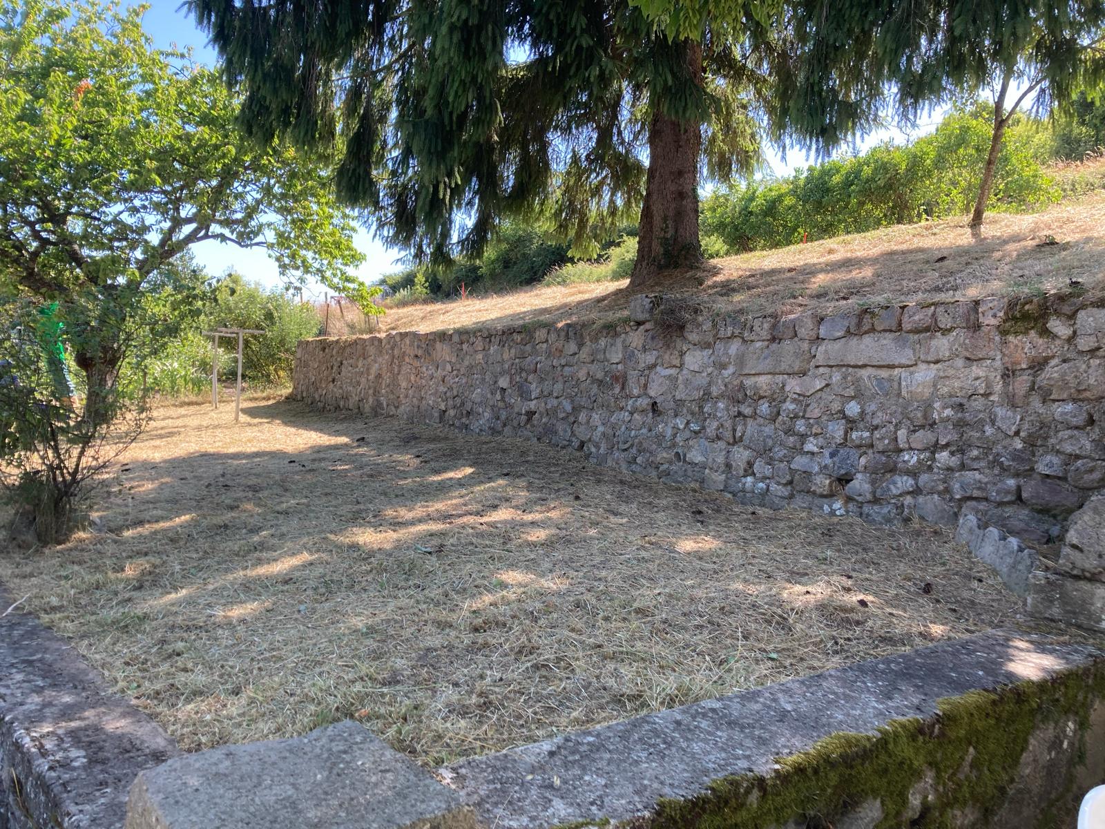 entretien_taille_debrousaillage_haie (16)